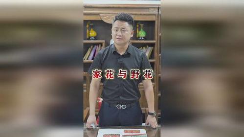 新版：贤妻扶我凌云志，我还贤妻万两金,共筑凌云之梦